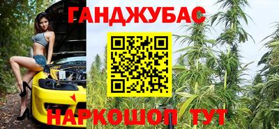 шишки Гагарин