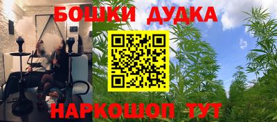 крисы Гай