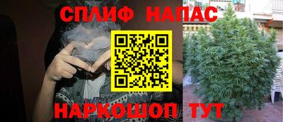 шишки Гагарин