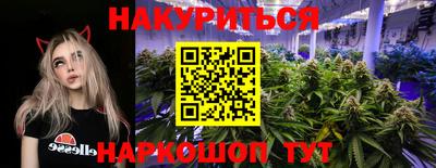 крисы Гай