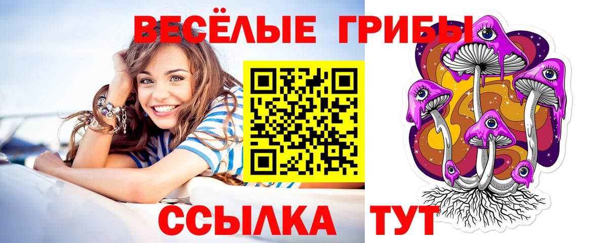 Бутурлиновка  Галлюциногенные грибы Psilocybe  Вход с VPN 